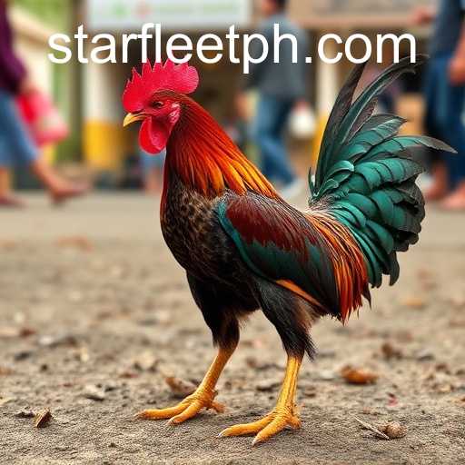 The Evolution and Future of Sabong Games in the Digital Age